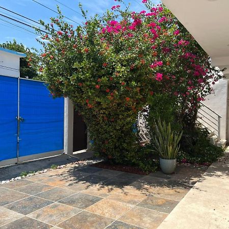 Casa Nuria Lägenhet Playa del Carmen Exteriör bild